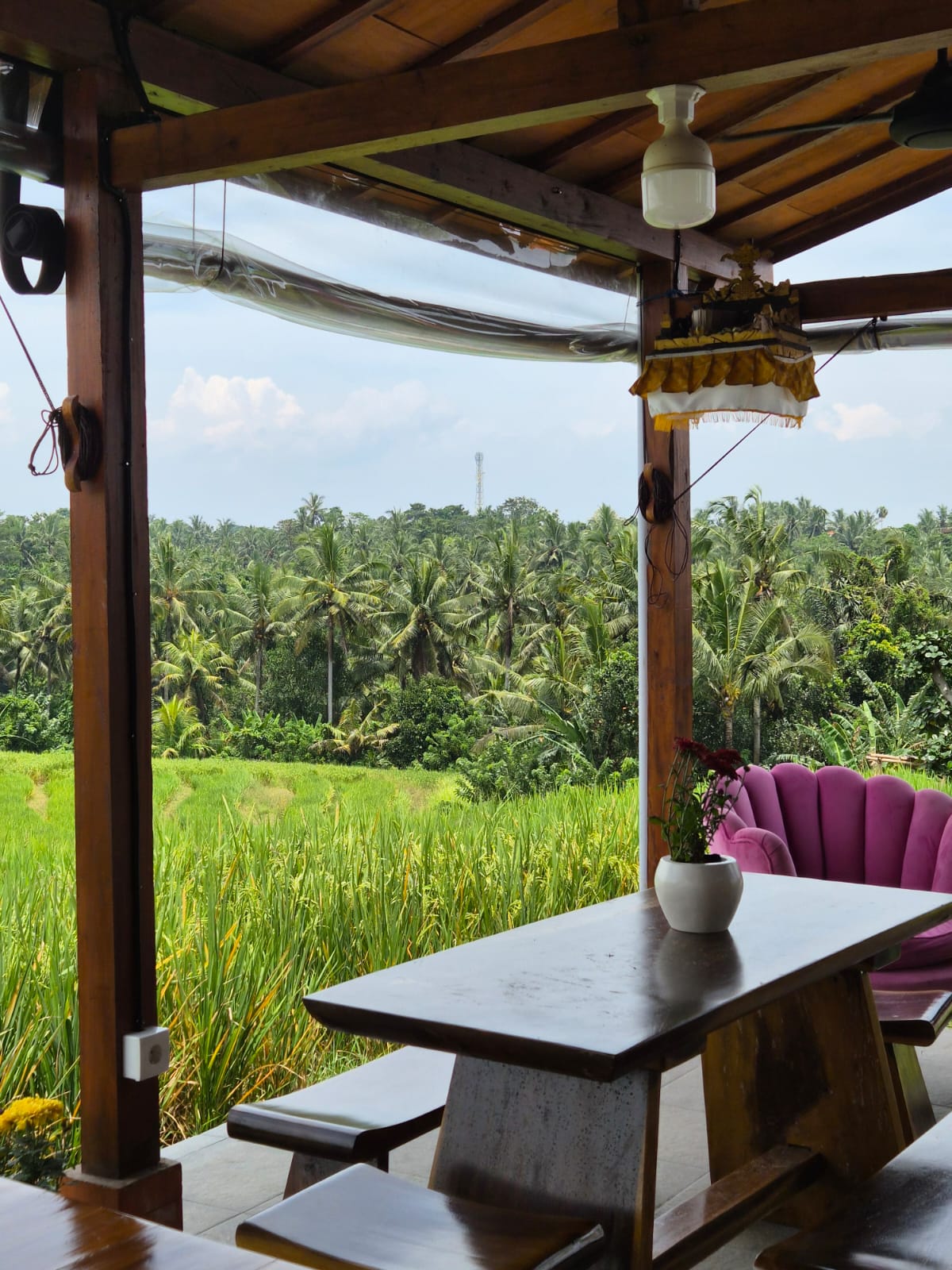 Open-air dining overlooking rice fields at golden hour